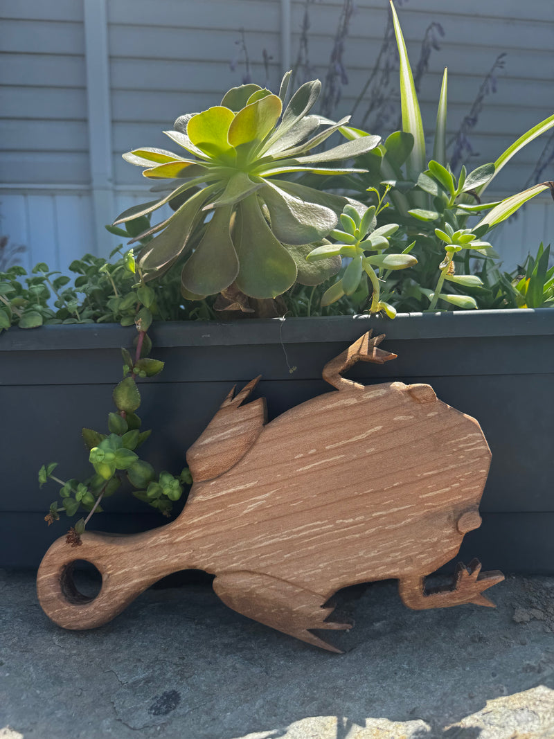 A carved wooden frog-shaped cutting board with a circular handle, resting on a concrete surface in front of a black planter box filled with green succulents.