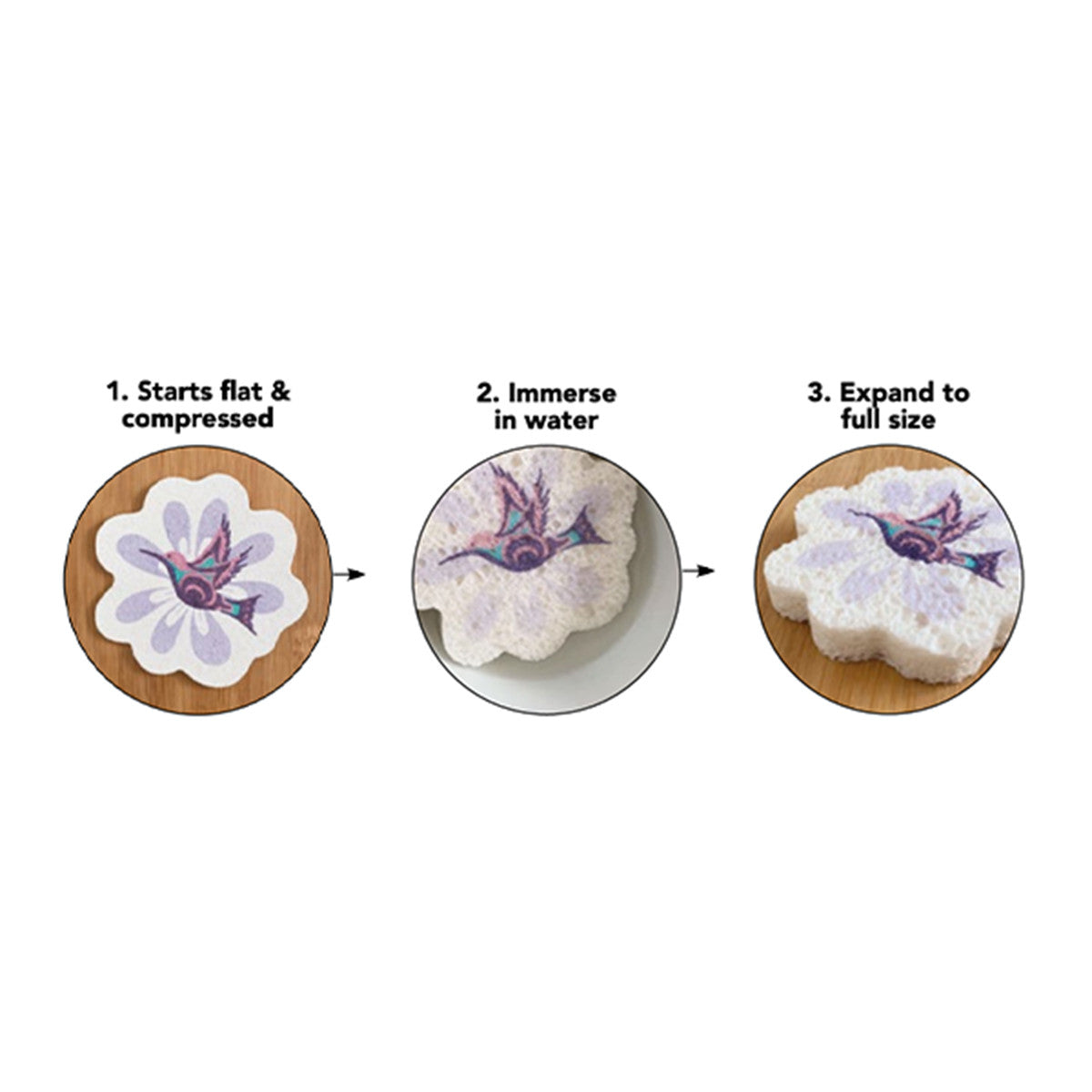 Hummingbird eco sponge, detail of the printed design