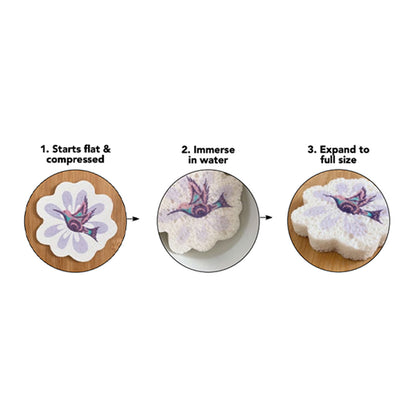 Hummingbird eco sponge, detail of the printed design