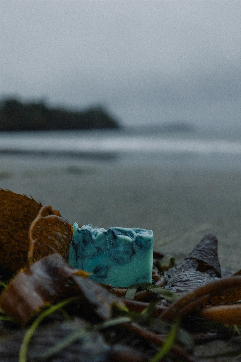 Storm Watching soap bar by RavenSong among kelp on the shore with the coastline behind