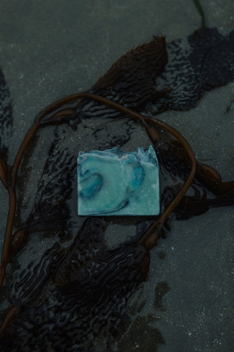 Storm Watching soap bar by RavenSong resting on wet kelp on a dark sand beach