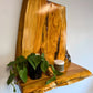 Wooden cedar live edge shelf with a plant and candle